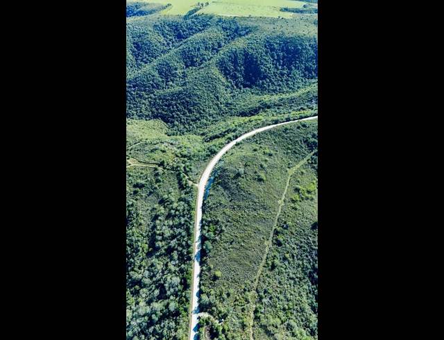 FARM FOR SALE IN WITTEDRIFT AH